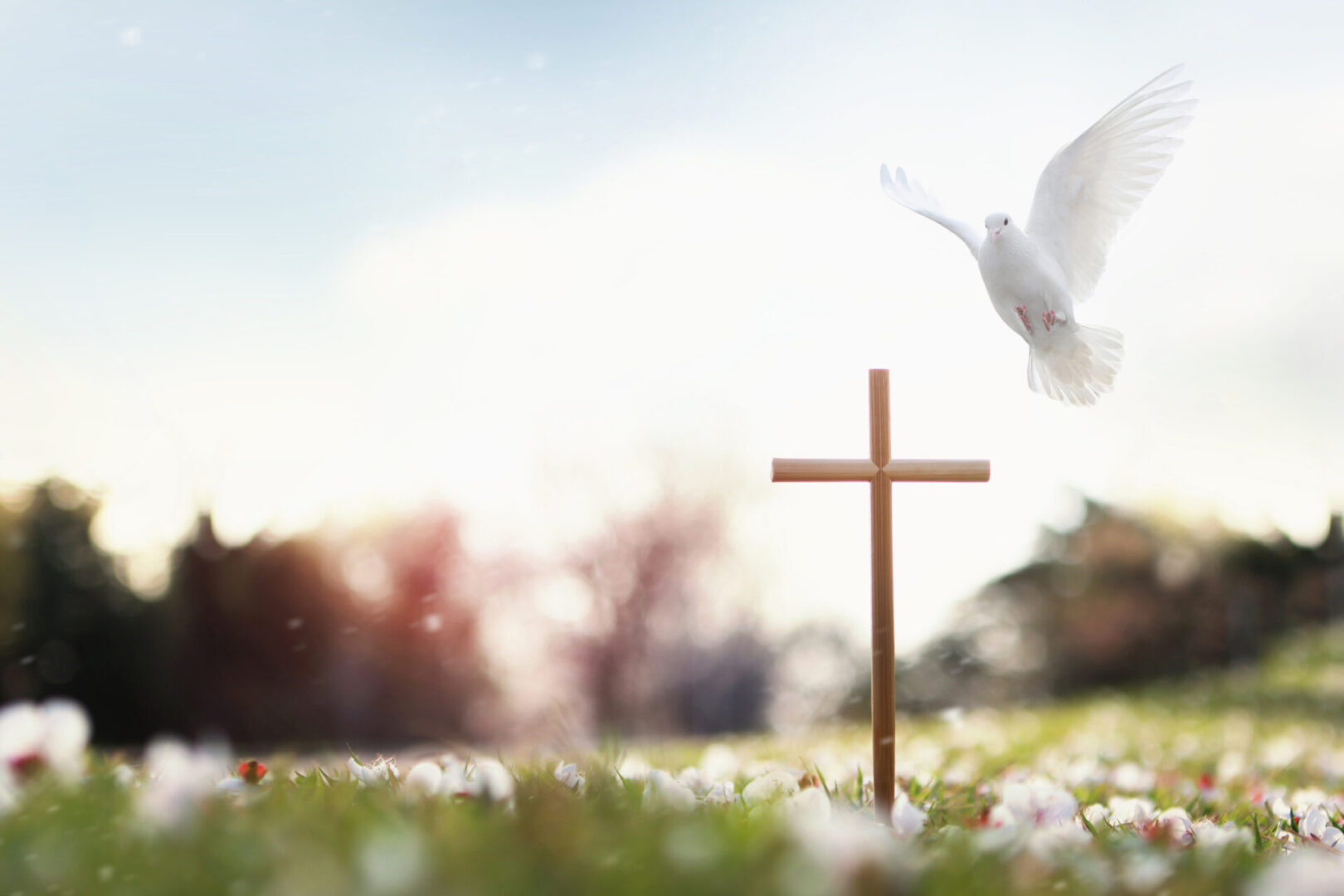 Background with the cross of Jesus Christ and falling petals and doves Cross symbolizing the death and resurrection of Jesus Christ, spring flowers, falling petals, bright sunlight, and doves