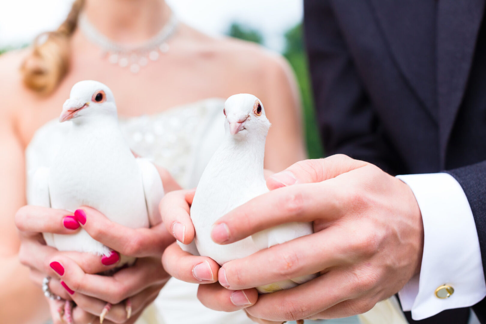 Bridal couple at wedding with white doves Bridal couple at wedding with white doves