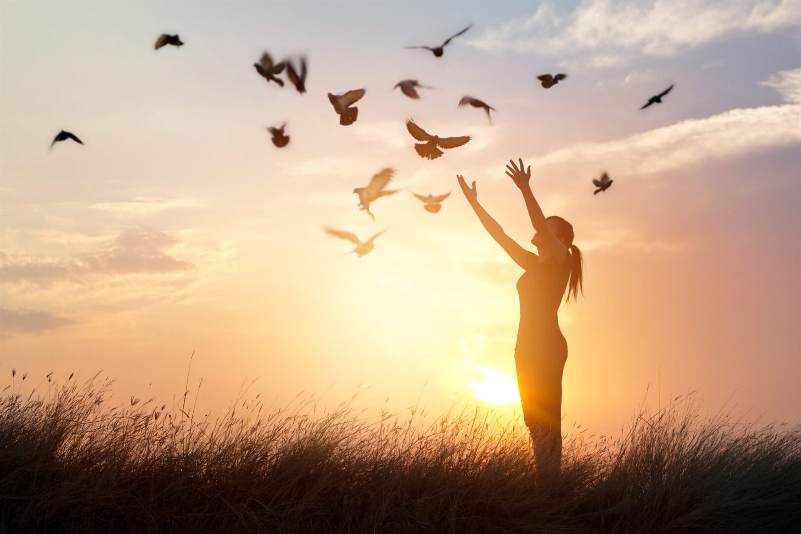 Woman praying and free bird enjoying nature on sunset background Woman praying and free bird enjoying nature on sunset background, hope concept